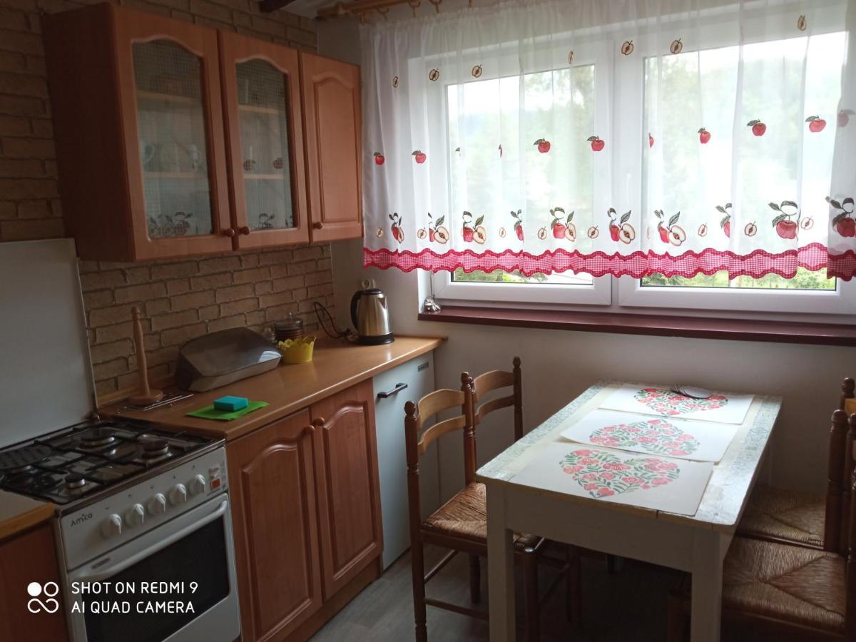 Domek I Apartamenty Stokrotka Крыница-Здруй Экстерьер фото